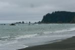 PICTURES/Rialto Beach/t_Flying Gulls4.JPG